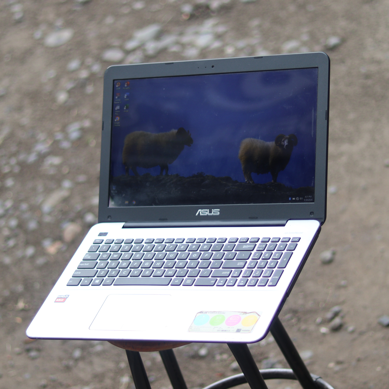Asus X555BA AMD A9 Gen9 Radeon SSD + HDD